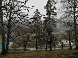 un gruppo di alberi in un parco con una cassa d'acqua di Hotel Apollon a Bakuriani