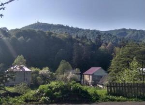 vista su una montagna con case e alberi di Hotel Apollon a Bakuriani