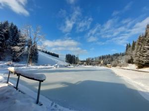 un estanque congelado con nieve encima en Gasthof Klug zum Ehrensepp, en Modriach