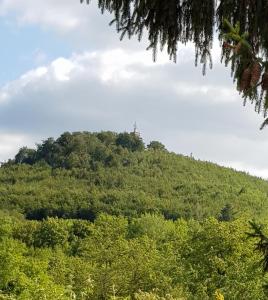 Tatil evi yakınında doğal manzara