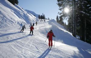 Chalet Dahu by Avoriaz Chalets om vinteren