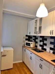 Apartament z widokiem na Spodek廚房或簡易廚房