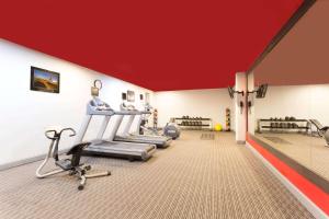 Wyndham Garden Norfolk Downtown tesisinde fitness merkezi ve/veya fitness olanakları