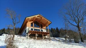 una piccola casa in legno nella neve con gli alberi di Ferienhaus Oberschindlberg a Lunz am See