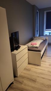 1 dormitorio con 1 cama y vestidor con TV en Flensburg Strandnah, en Flensburg