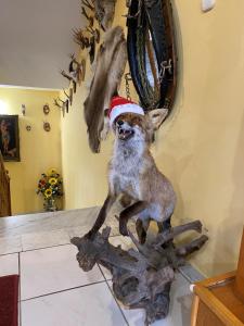 een hond met een kerstman hoed op een tafel bij Barokk Hotel in Hegyeshalom