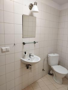 ein Badezimmer mit einem WC, einem Waschbecken und einem Spiegel in der Unterkunft Centro Hostel in Vilnius