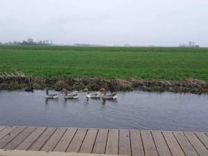 Afbeelding uit fotogalerij van Prive jacuzzi cows dairyfarm relaxing sleeping in Hitzum