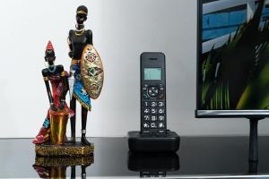 un telecomando seduto accanto a una statua accanto a una TV di The hayce residence a Kilifi