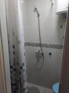 bagno con doccia e tenda doccia di Apartman Pavlovic a Dušanovac (historical)