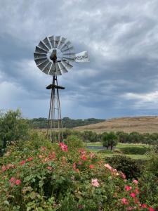 un moulin à vent dans un champ avec des fleurs roses dans l'établissement Daysy Hill Country Cottages, à Port Campbell