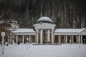 OREA Spa Hotel Palace Zvon Mariánské Lázně durante el invierno