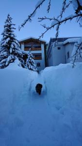 Hotel Crusch Alba Sta Maria during the winter