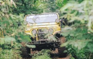 Une jeep jaune au milieu d'un champ dans l'établissement Alinson Sunset Hill, à Bogor