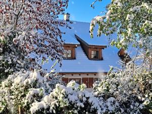 Gemütliche Waldrandlage in Badenweiler Sehringen Ferienwohnung talvella