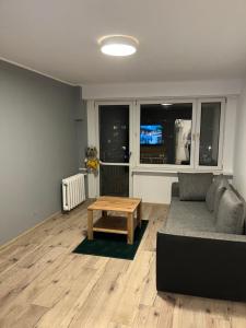 salon z kanapą i stolikiem kawowym w obiekcie Apartament Centrum Okulickiego ! w mieście Stalowa Wola