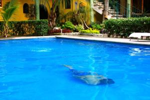 Swimmingpoolen hos eller tæt på Hotel Oaxtepec