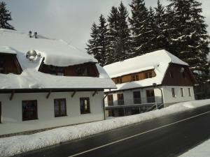 L'établissement Penzion Dominik en hiver