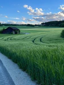 Huoneiston lähellä sijaitseva luonnonmaisema