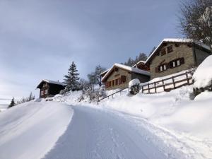 Tiny House facing the Alps - Ski in, Ski out a l'hivern