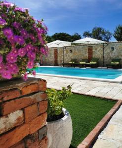 - une piscine avec des fleurs violettes dans une cour dans l'établissement Holiday home Iva with pool, à Sukošan