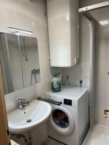 La salle de bains est pourvue d'un lave-linge et d'un lavabo. dans l'établissement City Appartement 4600, à Wels