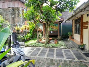 A garden outside Ngampilan Backpacker Hostel