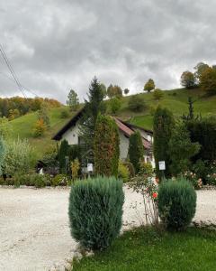 A garden outside Casa Maria