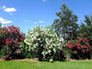 Jardí fora de Villa De Rêve avec Piscine XXL Vue Panoramique