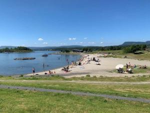 um grupo de pessoas numa praia perto da água em Hostel Oslofjord em Stabekk