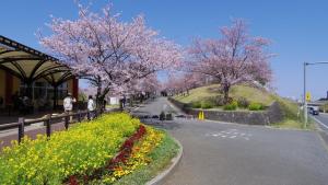 Galerija fotografija objekta Karin doo Hotel u gradu 'Narita'