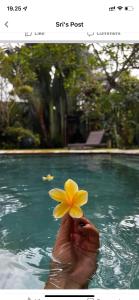 The swimming pool at or close to Villa Gekyu