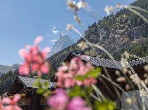 ツェルマットにあるホテル バーンホフの手前の花山の景色