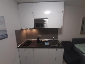 Кухня или мини-кухня в Luxusní apartmán Rezidence 1351
