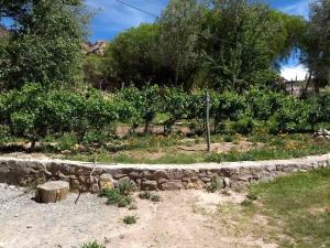 un jardín con una pared de piedra y algunas plantas en La Amarilla, casa con hermosa vista, en Tilcara