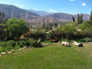 un campo de hierba con montañas en el fondo en La Amarilla, casa con hermosa vista, en Tilcara