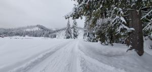 ビトゥフにあるJędroskowe Chatkiの雪道