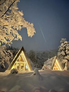 Loon Moon Mountain Chalets през зимата