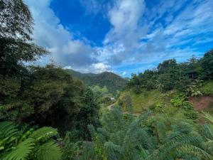 Natural landscape malapit sa holiday home