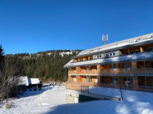 Wiesenquell Apartment Feldberg saat musim dingin