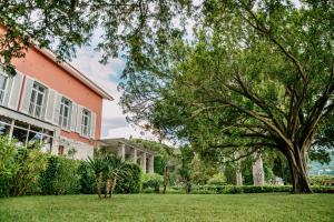 una casa con un gran árbol en el patio en Vila Tartini, en Strunjan