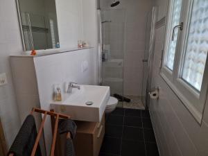 La salle de bains est pourvue d'un lavabo, de toilettes et d'un miroir. dans l'établissement BnB "Les Coquelicots", à Mies