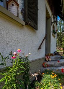 dom z oknem i kwiatami w obiekcie GartenFerienhaus "AnnaLuise" w mieście Schönau im Schwarzwald