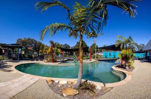 una palmera sentada junto a una piscina en Lakeside Forster Holiday Park and Village, en Forster