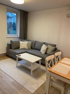 sala de estar con sofá y mesa en APARTAMENTY GUZIK 22, en Krosno