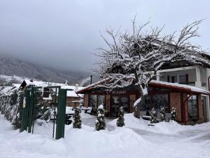 um edifício coberto de neve com uma árvore em frente em Casa Cenţiu em Bran