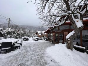 um edifício coberto de neve com cadeiras e uma árvore em Casa Cenţiu em Bran