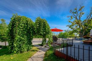 una siepe con un ombrello rosso in un parco di Niagara River&Glenview Home-15MinsWalkToFalls a Niagara Falls