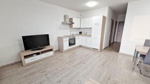 Kuchyň nebo kuchyňský kout v ubytování Apartmány Vinohrady