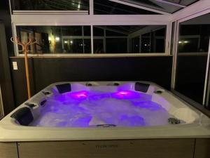 in Noyal-Châtillon-sur-Seich Maison paisible Rennes sud avec jaccuzzi sur réservation की गैलरी इमेज